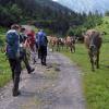 Klassenfahrt einmal anders: Wanderung von Hannover in die Alpen
