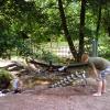 Naturfreundehaus Hanau-Rodenbach Wasserspielplatz