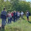 NaturFreunde Strausberg Exkursion Biesenhorster Sand NaturFreunde Strausberg Exkursion Biesenhorster Sand