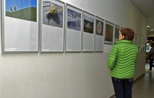 Die Bundesfotoausstellung 2015 im Frankfurter Gewerkschaftshaus