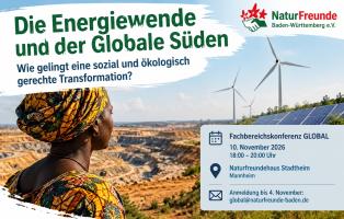 Die Energiewende und der Globale Süden