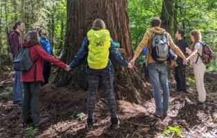 Eine Gruppe aus sieben Menschen in Wanderkleidung steht im Wald. Sie halten sich an den Händen und bilden einen Kreis um einen Baum.